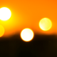 Illustration for article titled Shooting Challenge: Bokeh, Gallery 1